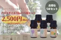 天然エッセンシャルオイル 10ml×5点セット アロマ用精油 人気セット