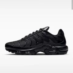 「箱付き」NIKE AIR MAX PLUS
