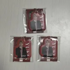 EBiDAN PVCチャーム Part.1 YUKI