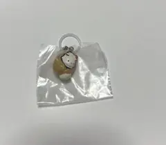 カキウミウシ めじるしアクセサリー カキフライ