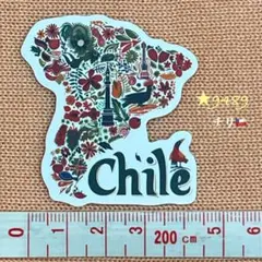 ★9489【新品】ステッカー Chile チリ 地形 ロゴ シール