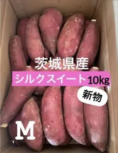 (株)MIRISE FARM  きゅうり20kg 9月2日発送 株)MIRISE FARM 様専用 きゅうり20kg 9月2日発送 - メルカリ