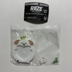 RIIZE アントン シャカシャカ アクリルチャーム ガチャ モンリョンイ