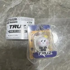 TRUZ FRIENDS ブリスターチャームコレクション　 treasure