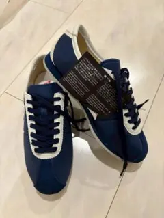 Item thumbnail for item f6455e42-8df9-470b-be40-726d68de2a4e