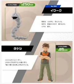 ポケモンスケールワールド カントー地方 タケシ＆イワーク