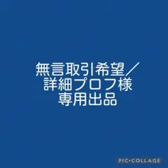 専用出品