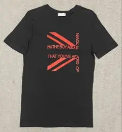 2026年最新】DIOR HOMME エディ tシャツの人気アイテム - メルカリ