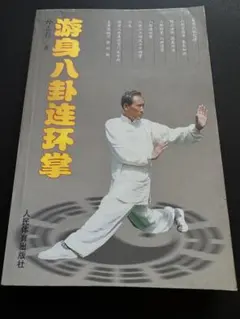 大東流合気柔術 (秘伝目録一カ条編) - メルカリ