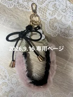 2026.9.16専用出品
