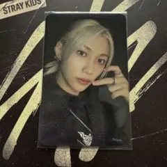 Stray Kids スキズ フィリックス HOP アコーディオン トレカ