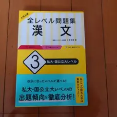 大学入試 全レベル問題集 漢文 3 私大・国公立大レベル
