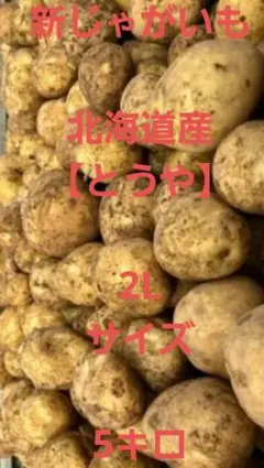 北海道産 とうや規格外品20キロ - メルカリ