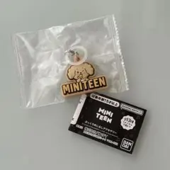 SEVENTEEN ドギョムグッズ多め 纏め売り SEVENTEEN MINITEEN ぷっくりめじるしアクセサリー ドギョム - メルカリ