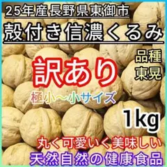【訳あり】 殻付きくるみ 25年産 信州産 胡桃 健康食品 極小〜小 1kg