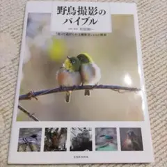 野鳥撮影のバイブル