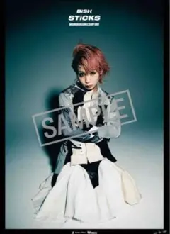 2025年最新】モモコグミカンパニー ポスターの人気アイテム - メルカリ