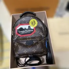 美✨限定✨Louis Vuitton パームスプリングス バックパック MINIのサムネイル