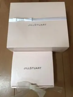 ジルスチュアート　空箱2点セット