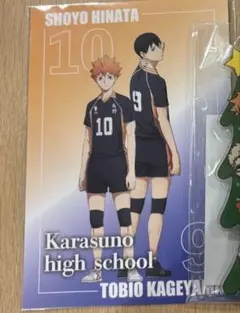 rin.様専用　ハイキュー　グッズ