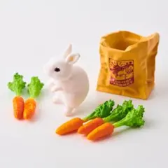 リーメント 飼ってみたいな！かわいいあのコ お手伝いの名人だよ