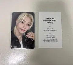 Stray Kids フィリックス リアルタッチ KARMA FANS