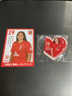 浦和レッズレディース19番フォンテス選手グッズ2点
