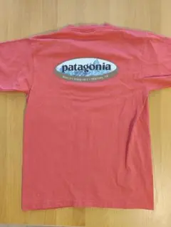 patagonia Tシャツ S Hawaii 刺繍ロゴ 廃番希少品 黒タグ - メルカリ