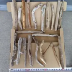 Item thumbnail for item 427214d9-4796-472f-93c8-968d723b63f0