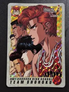 SLAM DUNK 湘北高校 チームカード #43