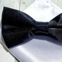 Item thumbnail for item 150f733b-cc56-420f-bdb1-2b269a64f5e8