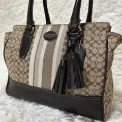 【美品】COACH コーチ トートバッグ シグネチャー フリンジ ブラウン