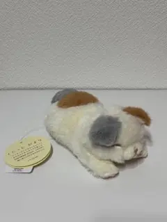 りぶはあと