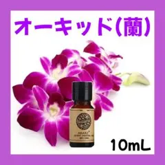 apple様 リクエスト 2点 まとめ商品