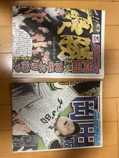 阪神タイガース栄光への全軌跡10冊 - メルカリ