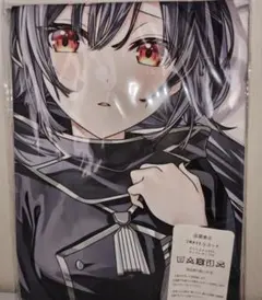 Innocent Grey NOIR クリアファイル 殻ノ少女 - メルカリ