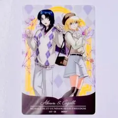 アスラン&カガリ　キャラPic　preppy style　ガンダムSEED