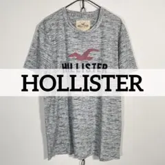 00s HOLLISTER 擦れグレー コットンポリTシャツ L 平成アメカジ