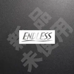 超高品質！ENDLESS・旧ロゴ　ステッカー　シルバー　1枚　縦45×横110