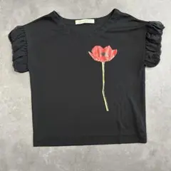 【８月中限定値下げ】 ドットアンドストライプス　シフォンスリーブ　半袖Tシャツのサムネイル