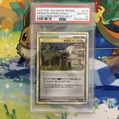ポケモンカード　プロモ　セキエイこうげん　PSA10点　激レア品 070/L-P](プロモーションカード「L-P プロモ[L-P セキエイこうげん: ポケモンカードゲーム