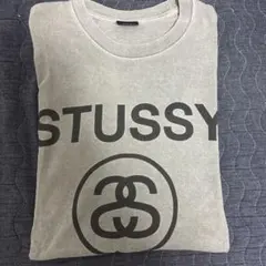 stussy tシャツ　2枚セット