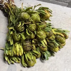 PETAL.様 リクエスト 2点 まとめ商品