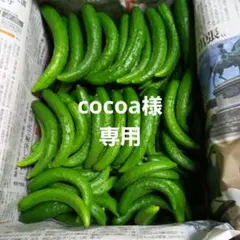 cocoa様専用です。