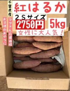 千葉県産　熟成紅はるか 2Sサイズ 5kg