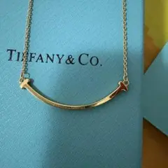 Tiffany & Co. バーネックレス