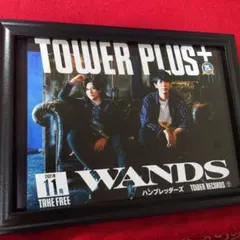 WANDS WANDER-LAND NEO 2026冬 会報vo11 - メルカリ