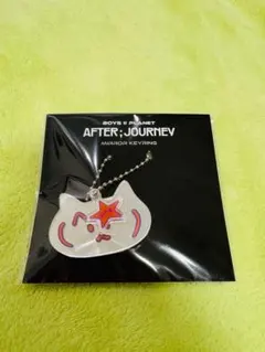 BOYS II PLANET ボイプラ2 ジョンシン 当選 ステッカー 2025年