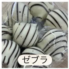 ロイスダール アウトレット ゼブラチョコ