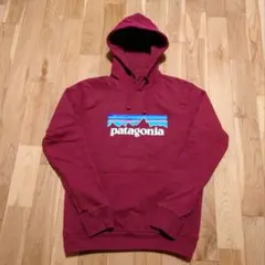 正規品 パタゴニア patagonia P-6 ロゴ・アップライザル・フーディ